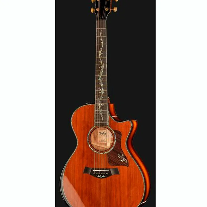 Taylor PS12ce Honduran Rosewood
