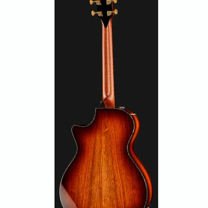 Taylor PS12ce Honduran Rosewood