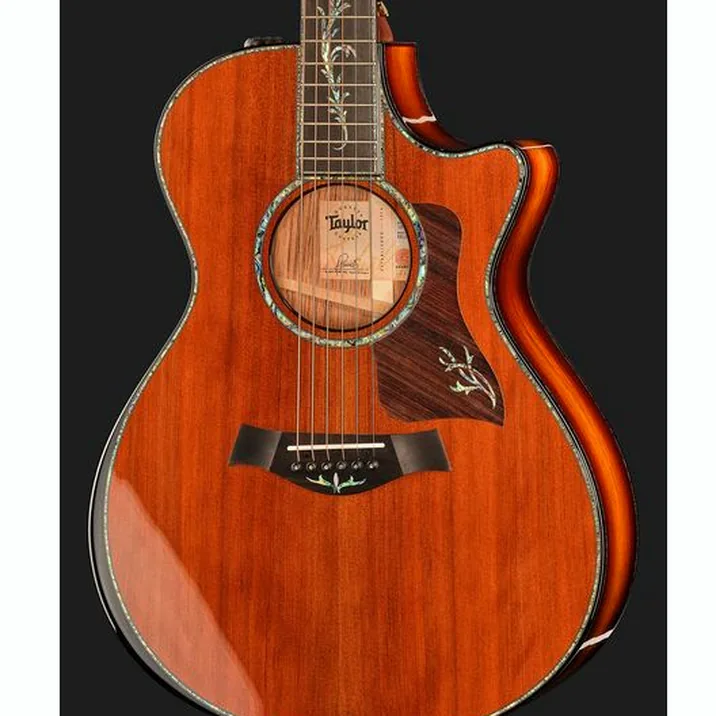 Taylor PS12ce Honduran Rosewood