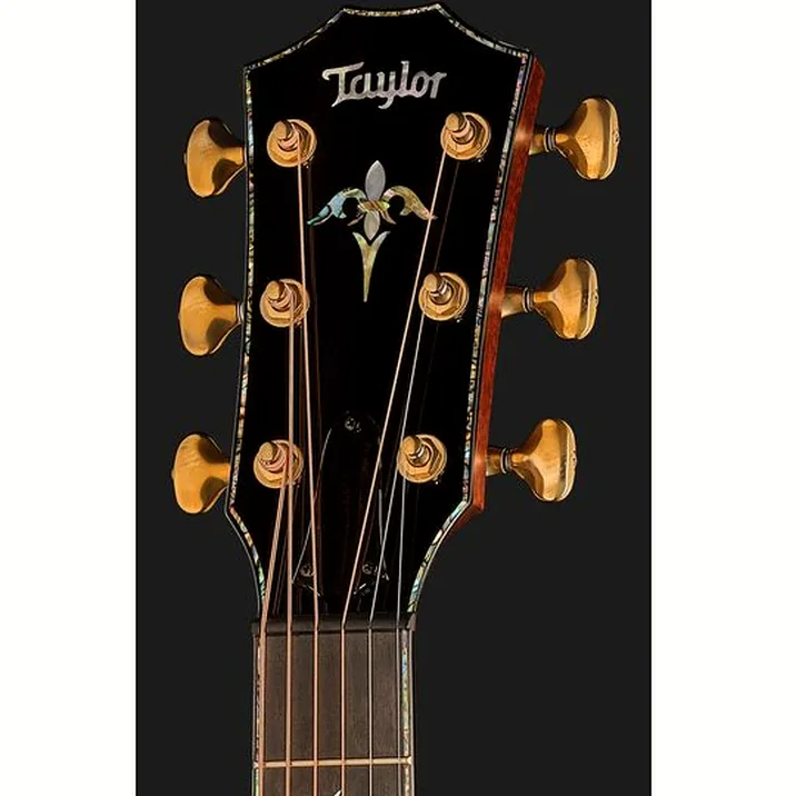 Taylor PS12ce Honduran Rosewood