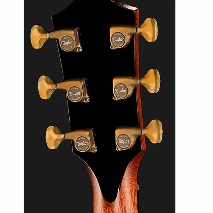 Taylor PS12ce Honduran Rosewood