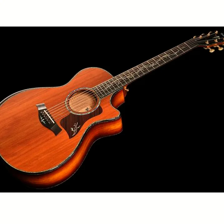 Taylor PS12ce Honduran Rosewood