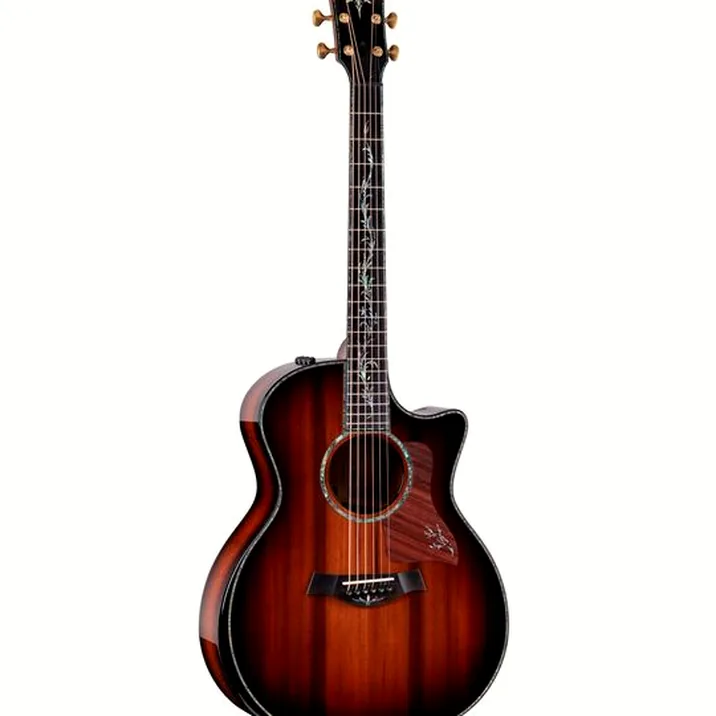 Taylor PS14ce Figured Urban Ironback