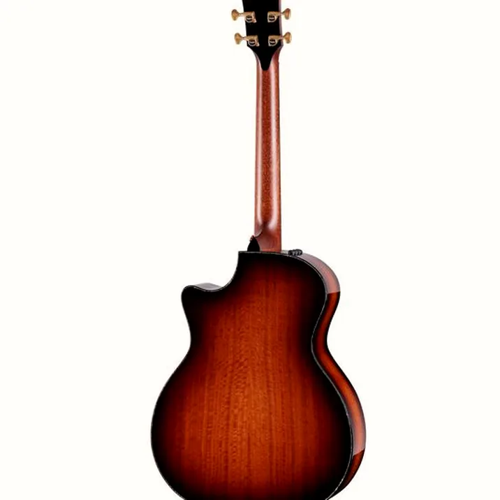 Taylor PS14ce Figured Urban Ironback