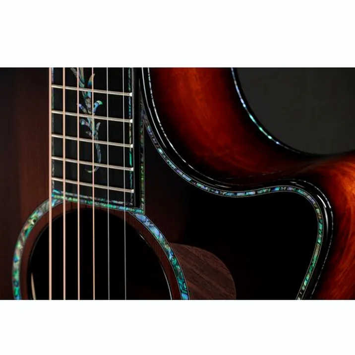 Taylor PS14ce Figured Urban Ironback