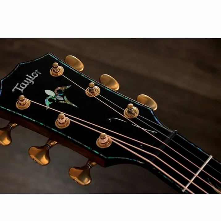 Taylor PS14ce Figured Urban Ironback