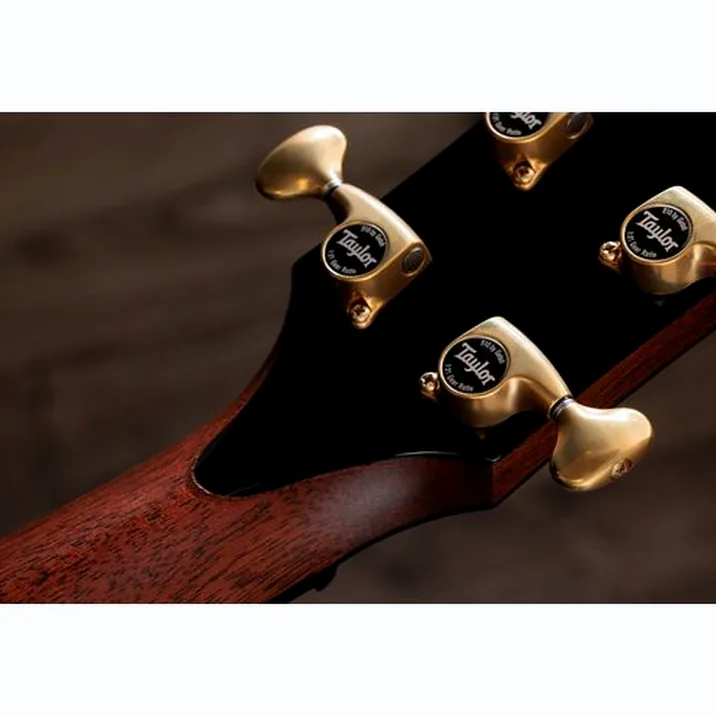 Taylor PS14ce Figured Urban Ironback