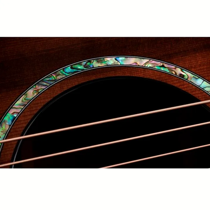 Taylor PS14ce Figured Urban Ironback