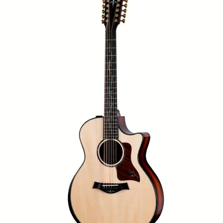 Taylor PS54ce