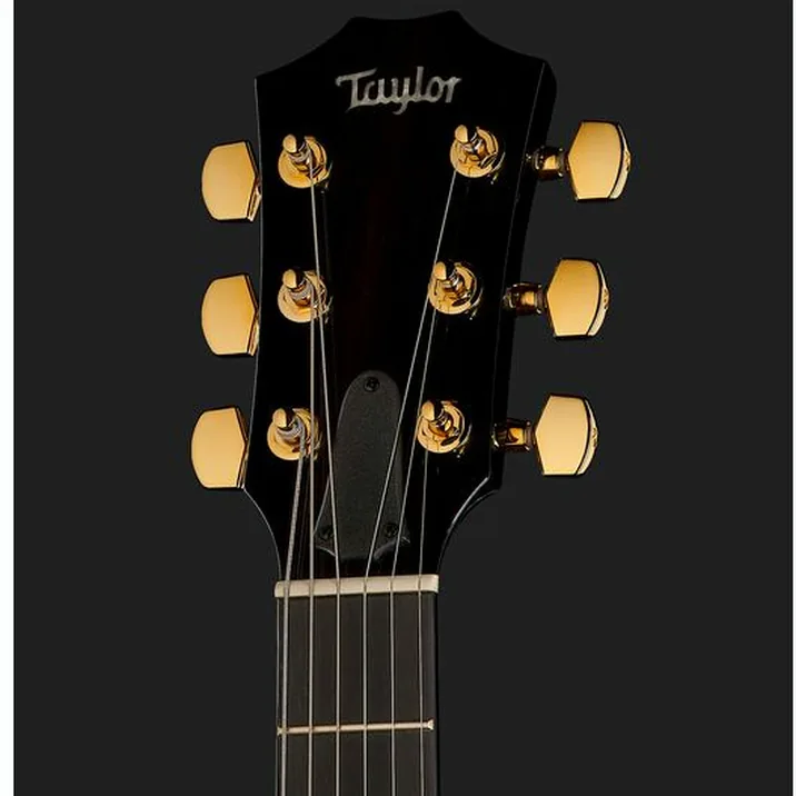 Taylor T5Z Custom Koa