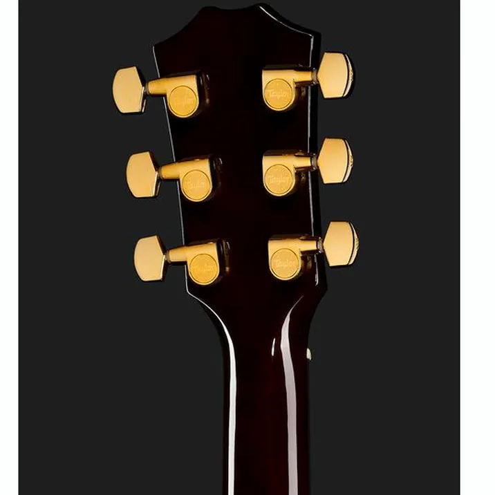 Taylor T5Z Custom Koa