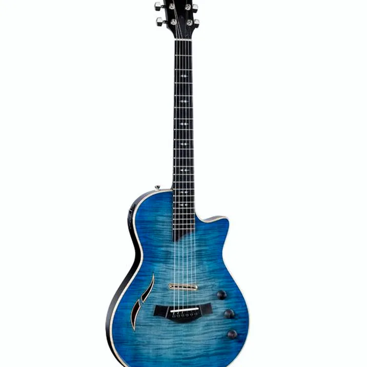 Taylor T5z Pro HB