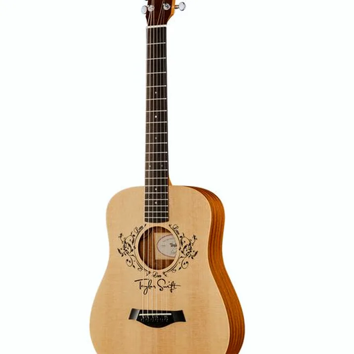 Taylor TS-BTe