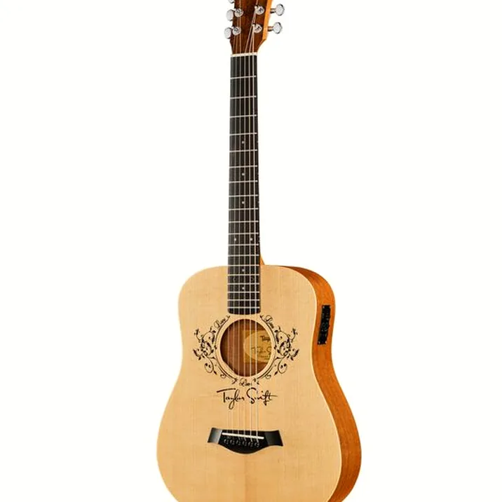 Taylor TS-BTe LH
