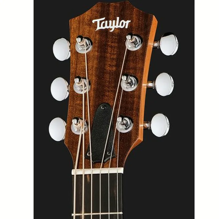 Taylor ZEDD GS Mini Telos Special Ed