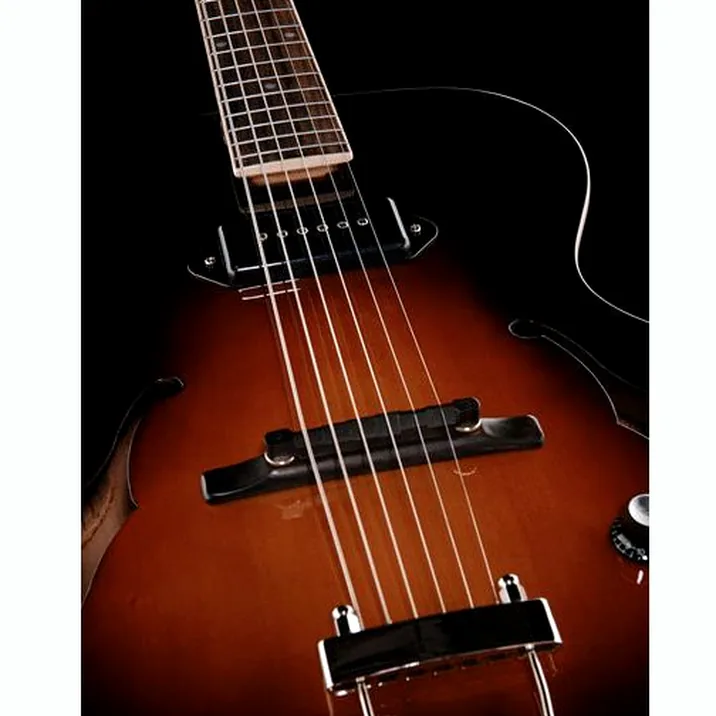 The Loar Lh 309 Vs