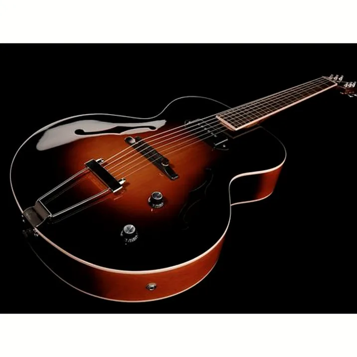 The Loar Lh 309 Vs