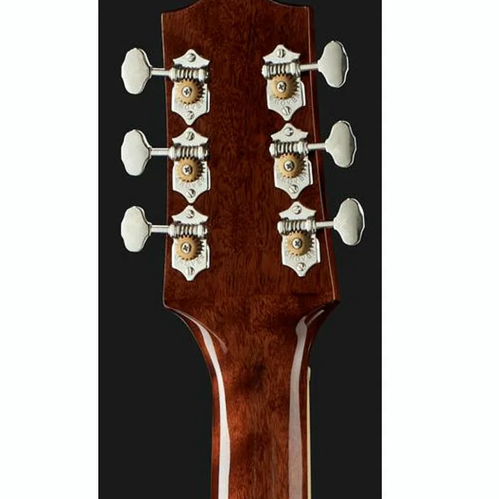 The Loar Lh 309 Vs