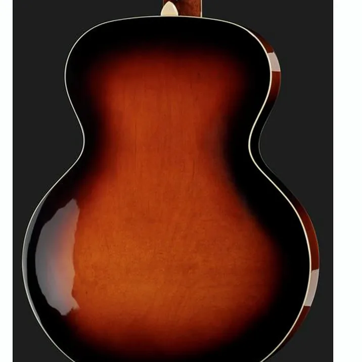 The Loar Lh 309 Vs