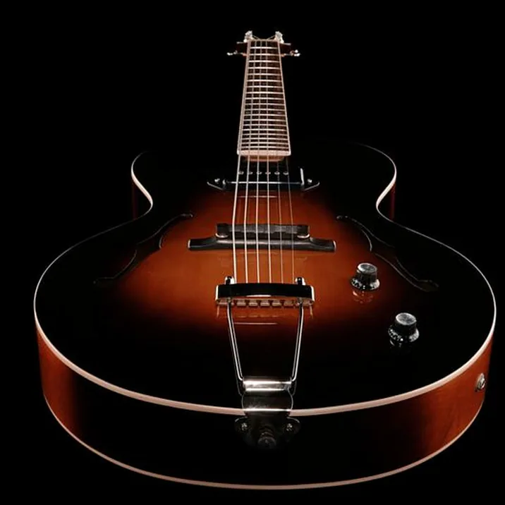 The Loar Lh 309 Vs