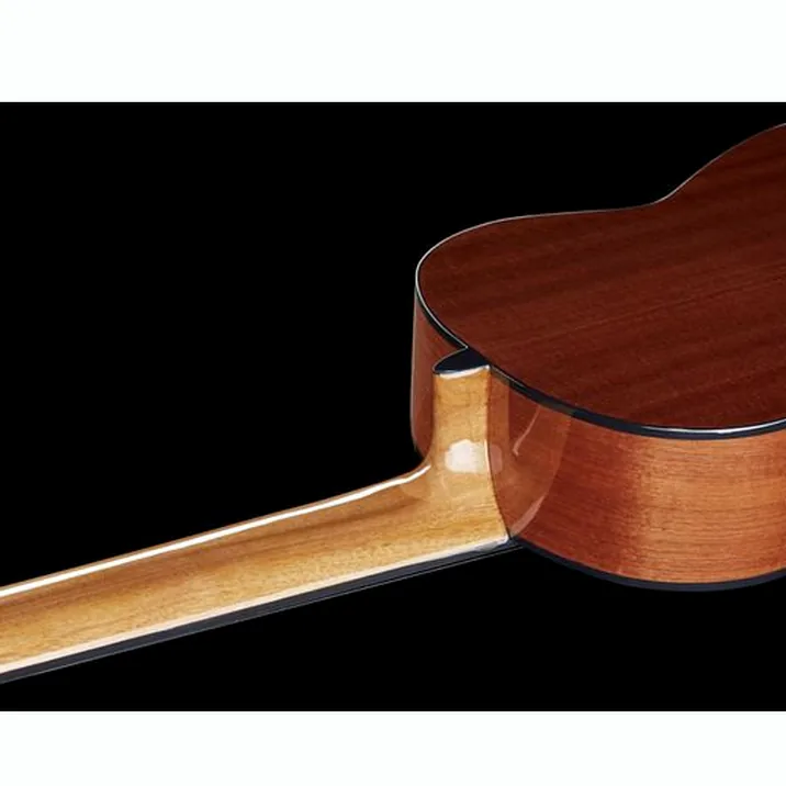 Thomann Classica Fusion 8 String