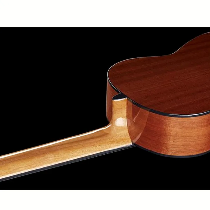 Thomann Classica Fusion 8 String