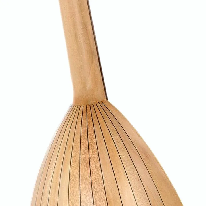 Thomann Lute Guitar De Luxe