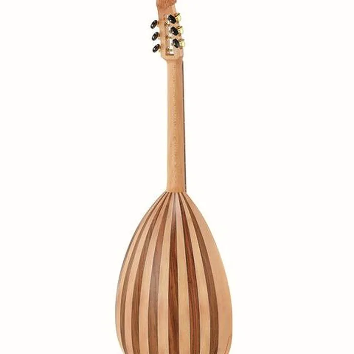 Thomann Steel String Lute Guitar
