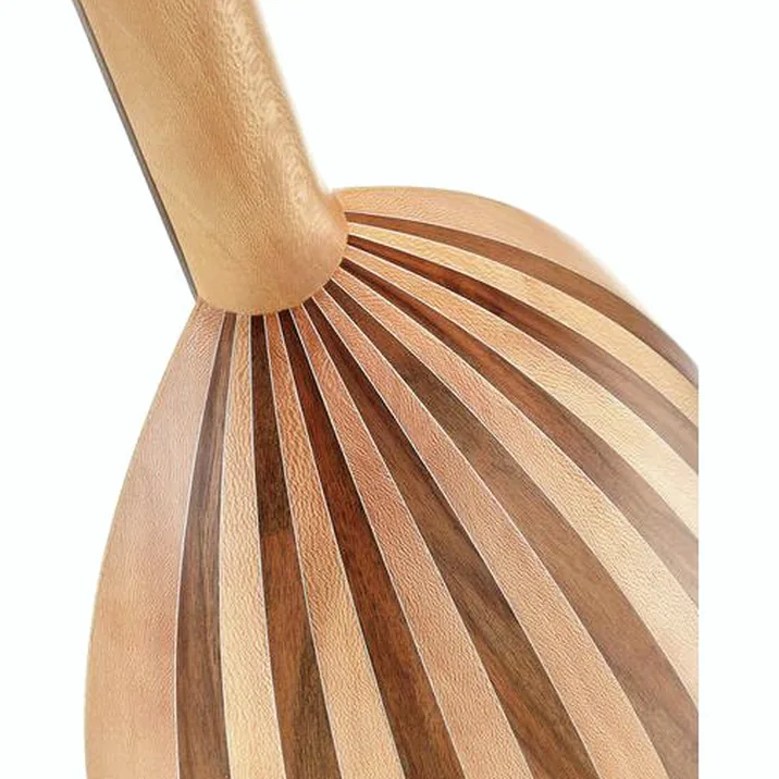 Thomann Steel String Lute Guitar