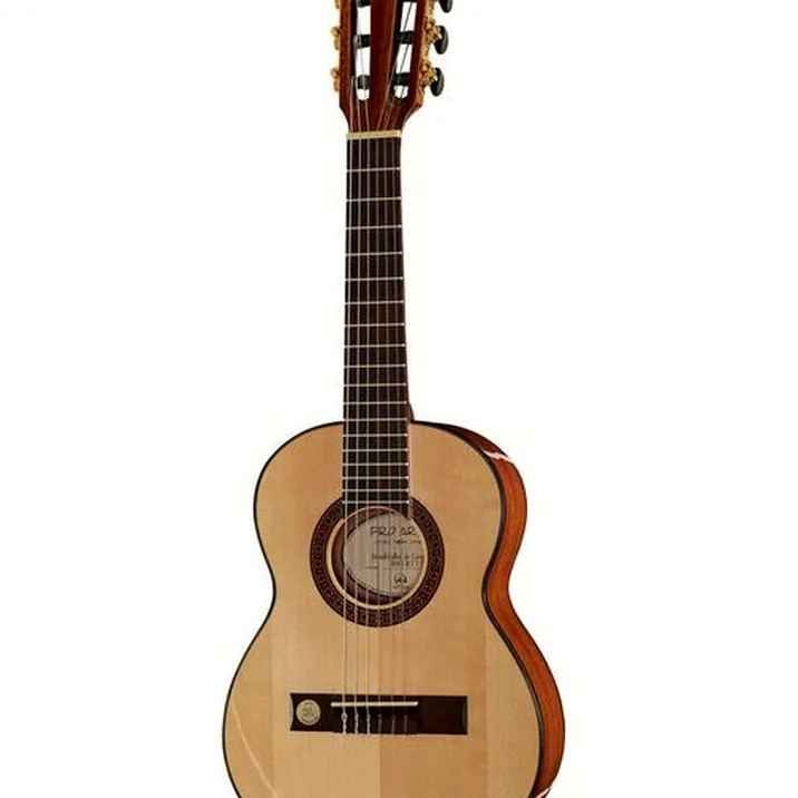 Gewa Pro Arte GC-25 A
