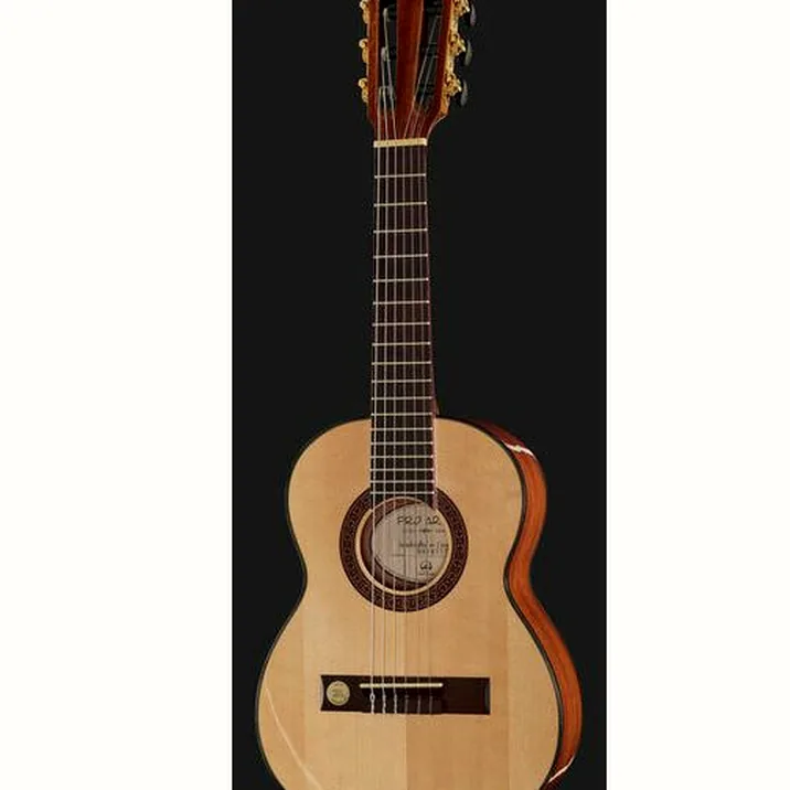 Gewa Pro Arte GC-25 A