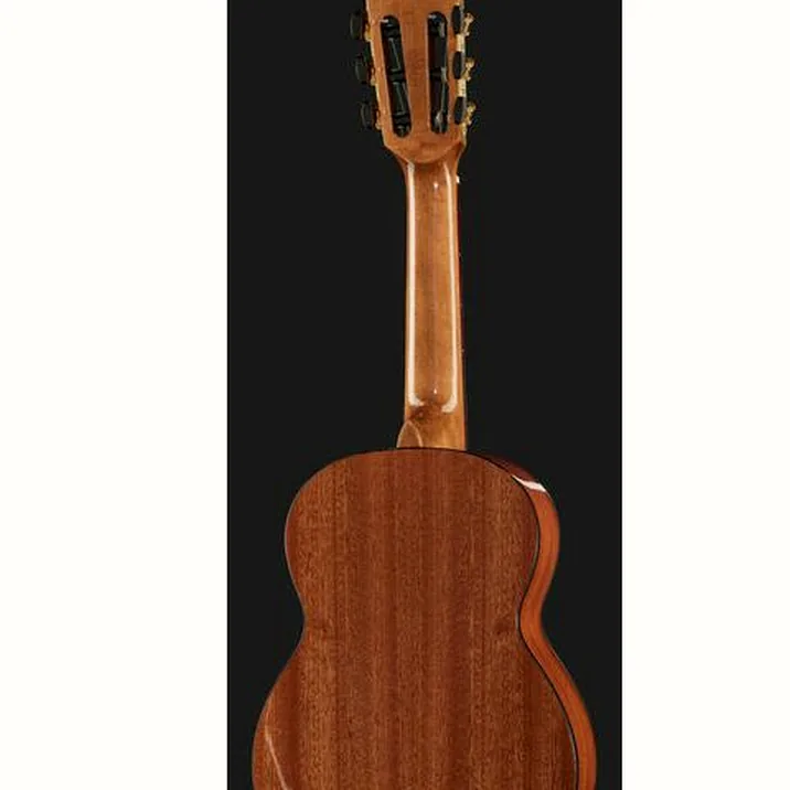 Gewa Pro Arte GC-25 A