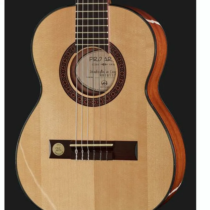 Vgs Pro Arte Gc 25 A