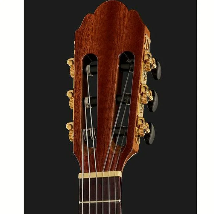 Vgs Pro Arte Gc 25 A