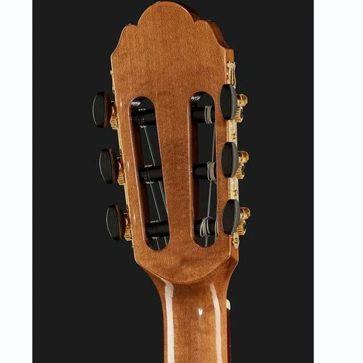 Vgs Pro Arte Gc 25 A