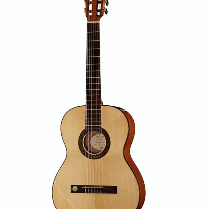 Gewa Pro Arte GC100A