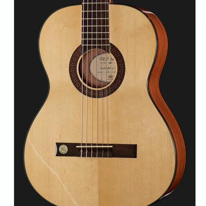 Vgs Pro Arte Gc100A