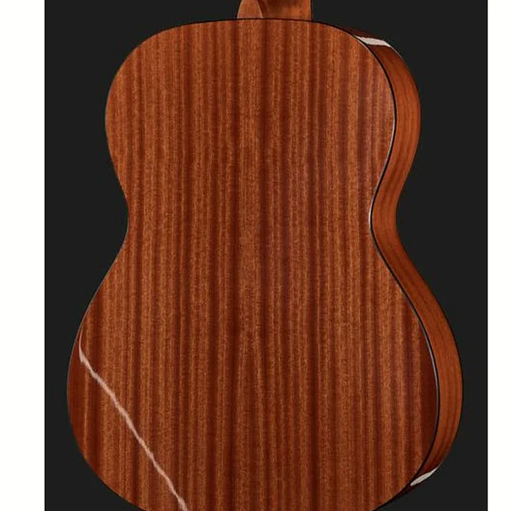 Vgs Pro Arte Gc100A