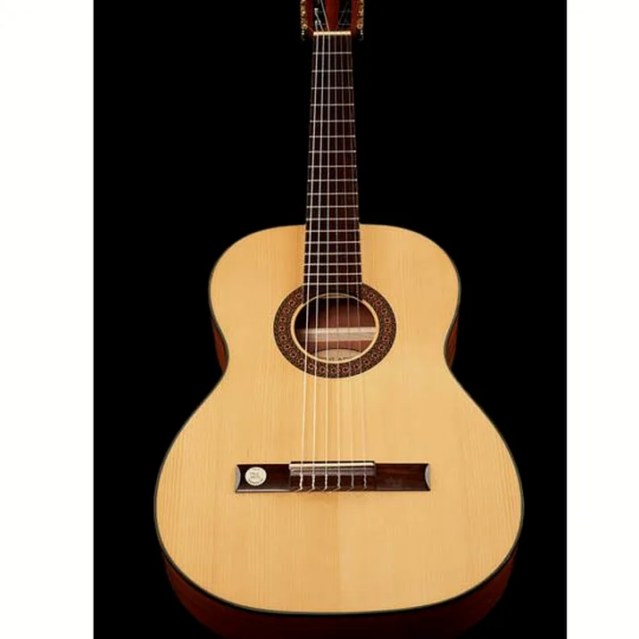Vgs Pro Arte Gc100A