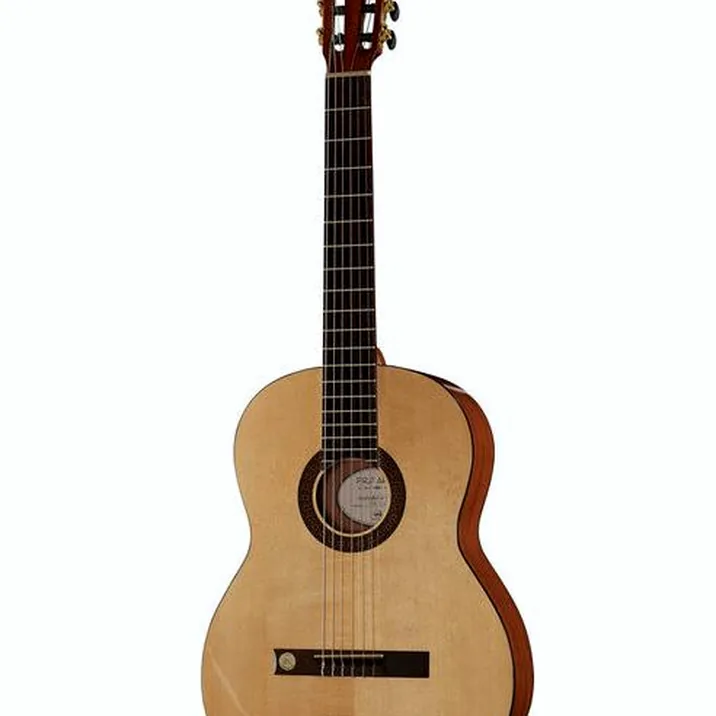 Gewa Pro Arte GC130A