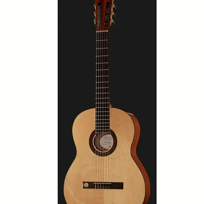 Gewa Pro Arte GC130A