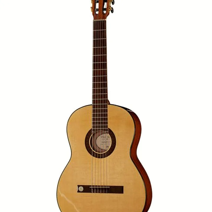 Gewa Pro Arte GC210A