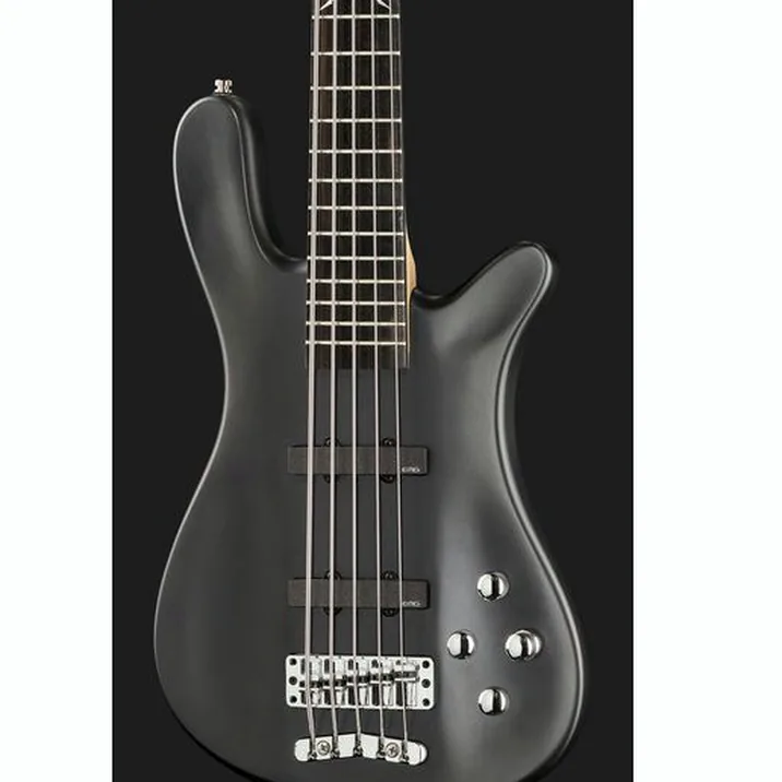 Warwick Artist Line Robert Trujillo 5