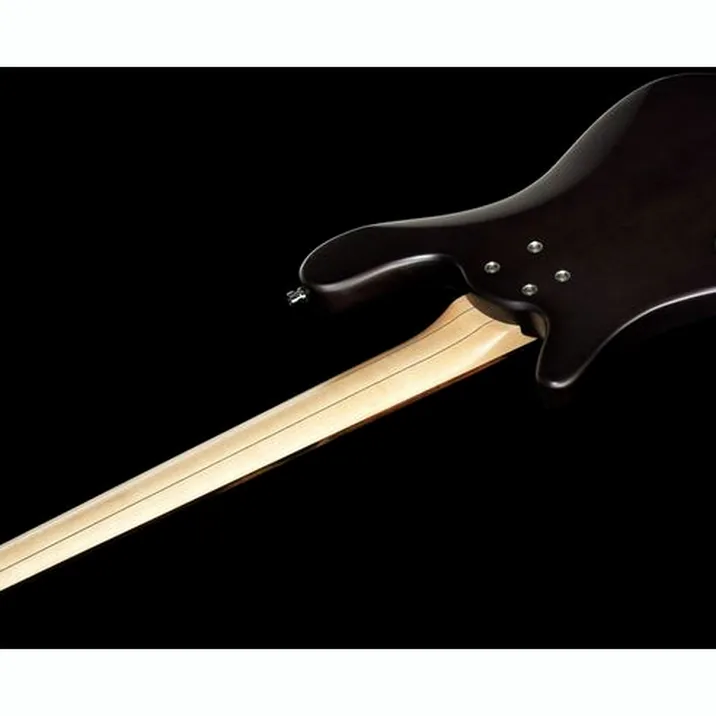 Warwick Rockbass Streamer Fretless
