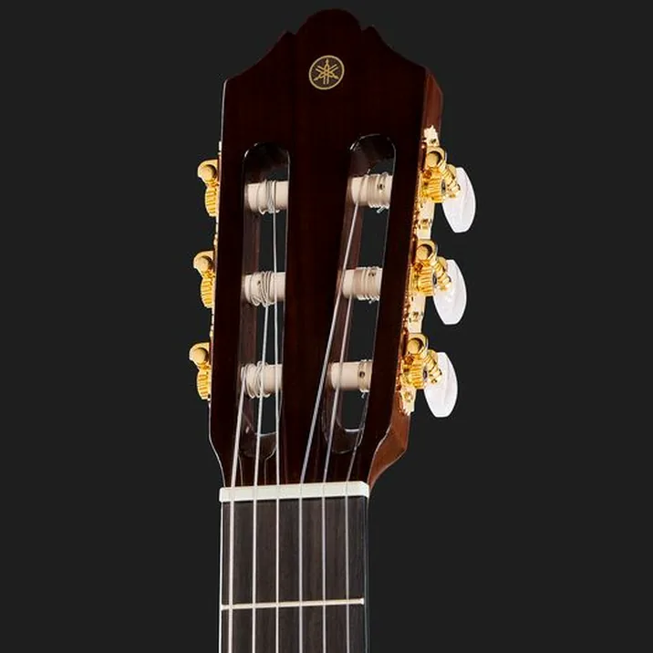 Yamaha Cg Ta Nt Transacoustic