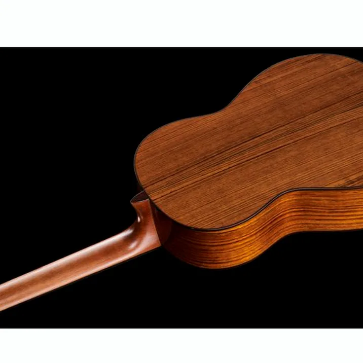 Yamaha Cg Ta Nt Transacoustic