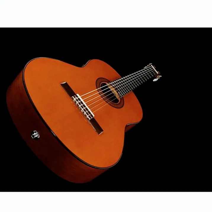 Yamaha Cgx 102