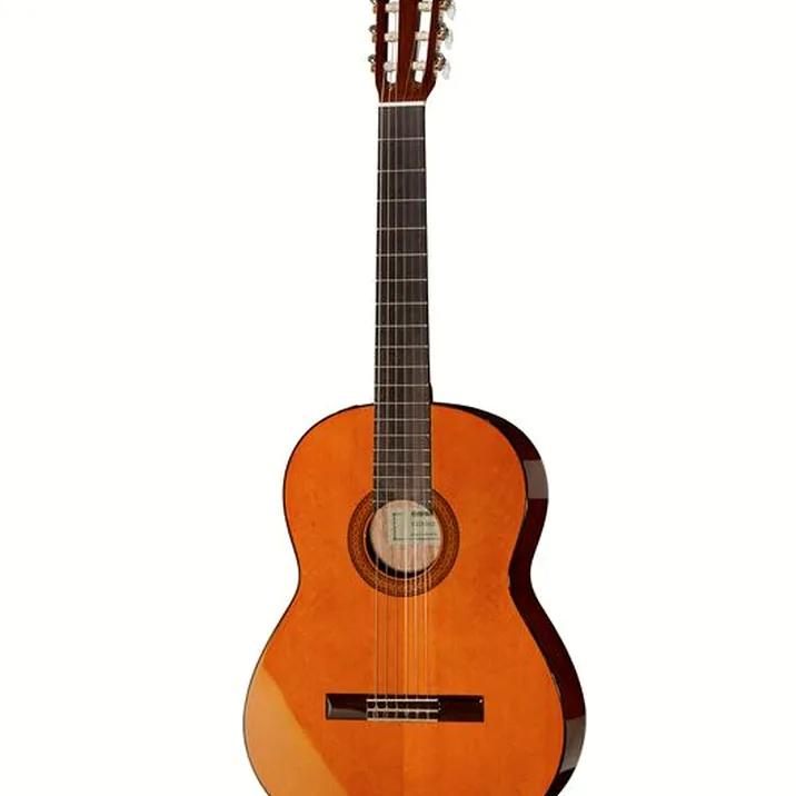 Yamaha CGX 102