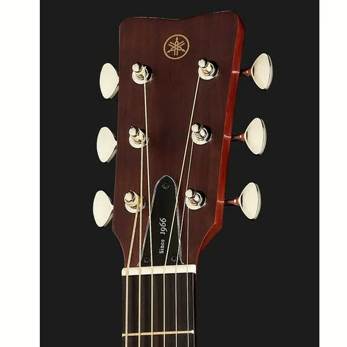 Yamaha Fgx5 Nt