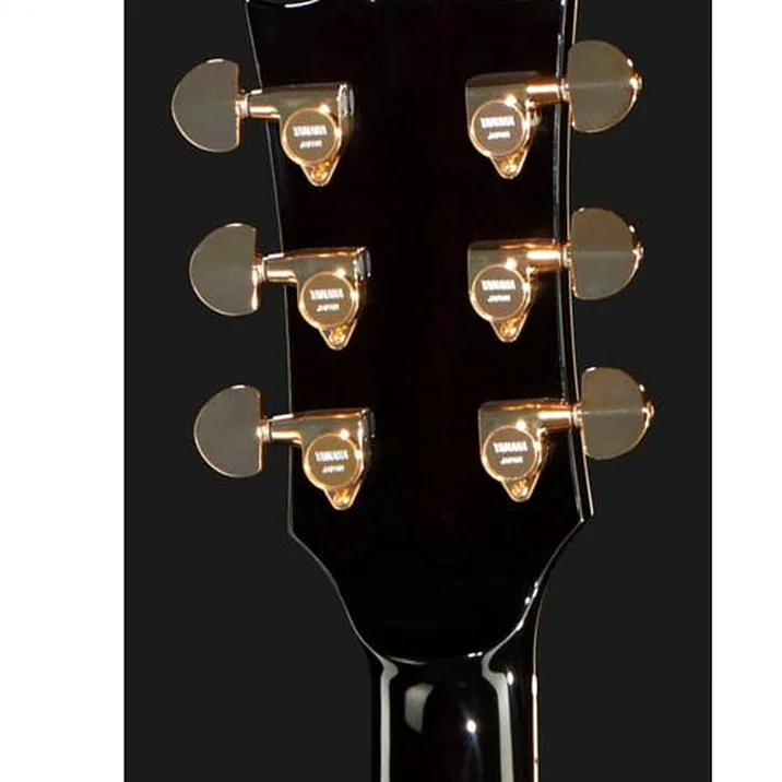 Yamaha SA2200BS